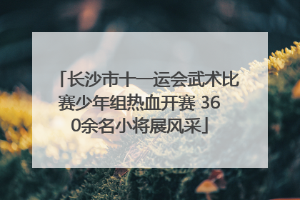 长沙市十一运会武术比赛少年组热血开赛 360余名小将展风采