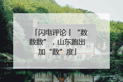 闪电评论丨“数数数”，山东跑出加“数”度