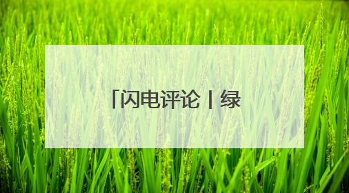闪电评论丨绿潮奔涌 书写山东生态答卷