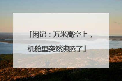 闲记：万米高空上，机舱里突然沸腾了