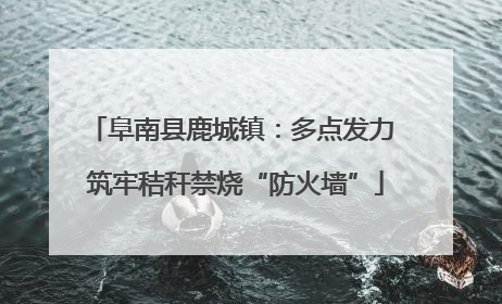 阜南县鹿城镇：多点发力 筑牢秸秆禁烧“防火墙”