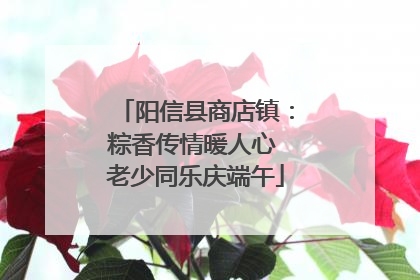 阳信县商店镇：粽香传情暖人心 老少同乐庆端午
