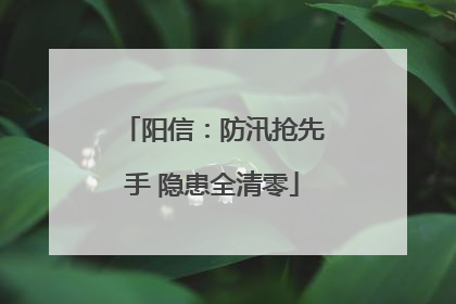 阳信：防汛抢先手 隐患全清零