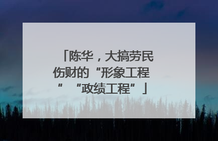 陈华，大搞劳民伤财的“形象工程”“政绩工程”