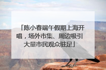 陈小春端午假期上海开唱，场外市集、周边吸引大量市民观众驻足