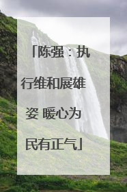 陈强：执行维和展雄姿 暖心为民有正气