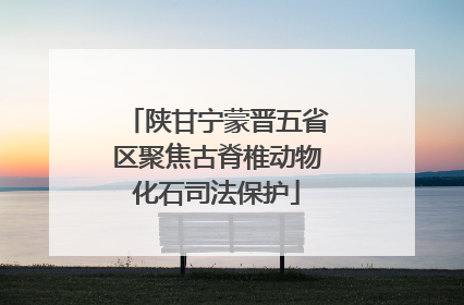 陕甘宁蒙晋五省区聚焦古脊椎动物化石司法保护