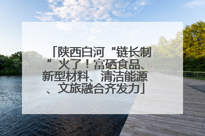 陕西白河“链长制”火了！富硒食品、新型材料、清洁能源、文旅融合齐发力