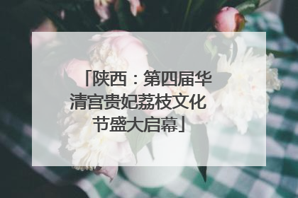 陕西：第四届华清宫贵妃荔枝文化节盛大启幕