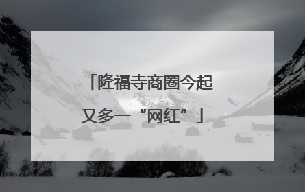 隆福寺商圈今起又多一“网红”