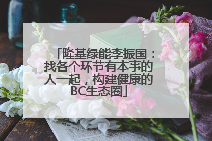 隆基绿能李振国：找各个环节有本事的人一起，构建健康的BC生态圈