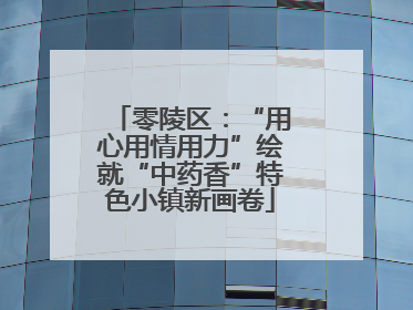 零陵区：“用心用情用力”绘就“中药香”特色小镇新画卷
