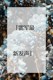 雷军最新发声