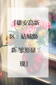 雄安高新区：站城焕新 雏形显现