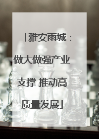 雅安雨城：做大做强产业支撑 推动高质量发展
