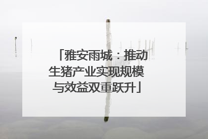 雅安雨城：推动生猪产业实现规模与效益双重跃升