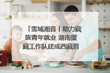 雪域湘音丨助力藏族青年就业 湖南援藏工作队建成西藏首个清洁能源装备园