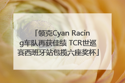 领克Cyan Racing车队再获佳绩 TCR世巡赛西班牙站包揽六座奖杯