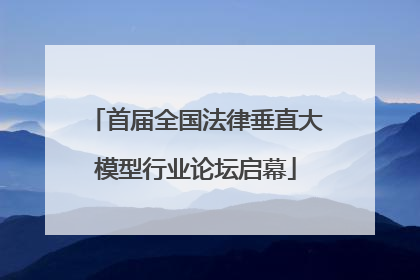 首届全国法律垂直大模型行业论坛启幕