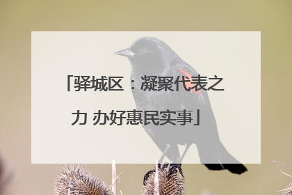 驿城区：凝聚代表之力 办好惠民实事