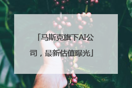 马斯克旗下AI公司，最新估值曝光