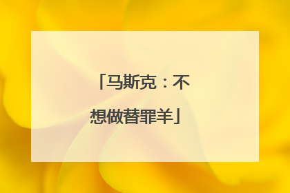马斯克：不想做替罪羊