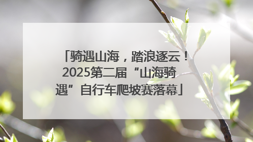 骑遇山海，踏浪逐云！2025第二届“山海骑遇”自行车爬坡赛落幕