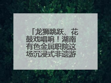 龙狮跳跃、花鼓戏唱响！湖南有色金属职院这场沉浸式非遗游园活动很带感