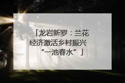 龙岩新罗：兰花经济激活乡村振兴“一池春水”