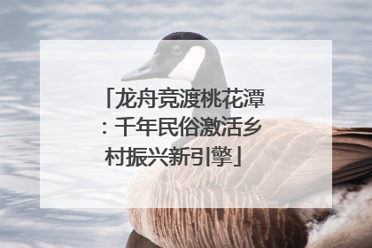 龙舟竞渡桃花潭：千年民俗激活乡村振兴新引擎