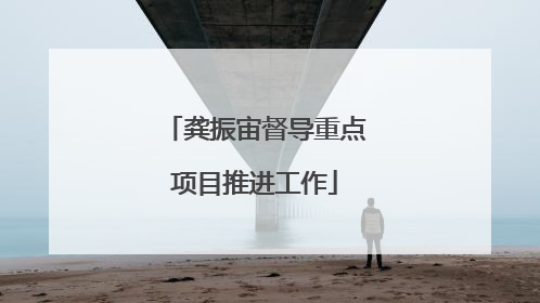 龚振宙督导重点项目推进工作