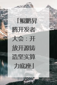 鲲鹏昇腾开发者大会：开放开源铸造坚实算力底座