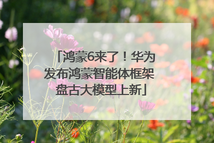 鸿蒙6来了！华为发布鸿蒙智能体框架 盘古大模型上新