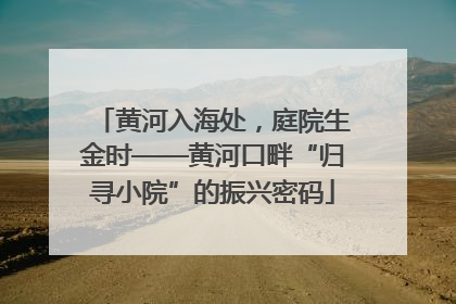 黄河入海处，庭院生金时——黄河口畔“归寻小院”的振兴密码