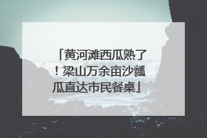 黄河滩西瓜熟了！梁山万余亩沙瓤瓜直达市民餐桌