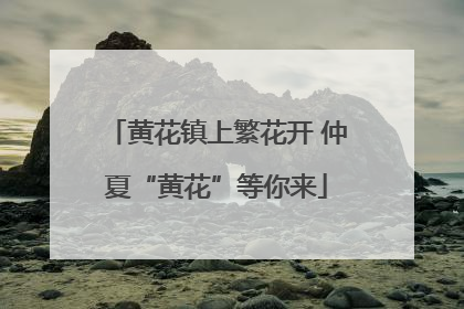 黄花镇上繁花开 仲夏“黄花”等你来