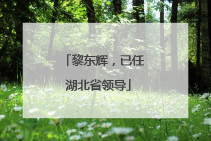 黎东辉，已任湖北省领导
