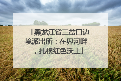 黑龙江省三岔口边境派出所：在界河畔，扎根红色沃土