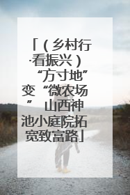 （乡村行·看振兴）“方寸地”变“微农场” 山西神池小庭院拓宽致富路