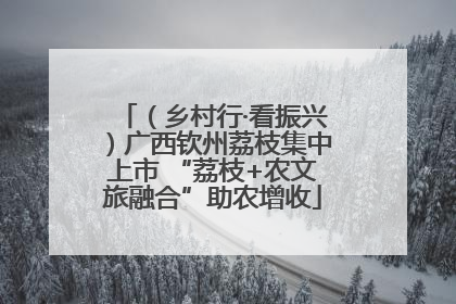 （乡村行·看振兴）广西钦州荔枝集中上市 “荔枝+农文旅融合”助农增收