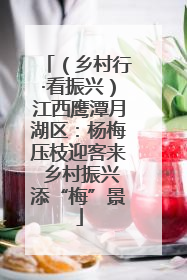 （乡村行·看振兴）江西鹰潭月湖区：杨梅压枝迎客来 乡村振兴添“梅”景