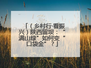 （乡村行·看振兴）陕西留坝：“满山绿”如何变“口袋金”？