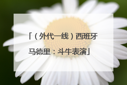 （外代一线）西班牙马德里：斗牛表演