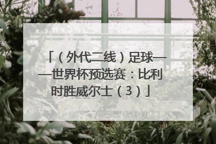 （外代二线）足球——世界杯预选赛：比利时胜威尔士（3）