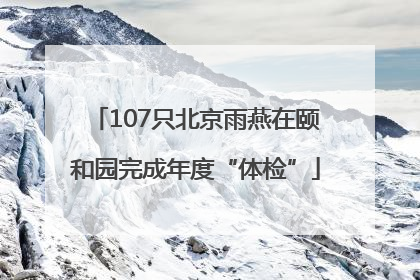 107只北京雨燕在颐和园完成年度“体检”