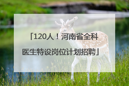 120人！河南省全科医生特设岗位计划招聘