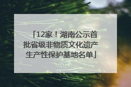 12家！湖南公示首批省级非物质文化遗产生产性保护基地名单