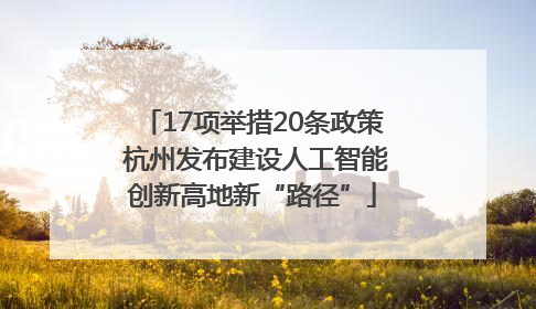 17项举措20条政策 杭州发布建设人工智能创新高地新“路径”