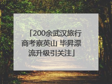 200余武汉旅行商考察英山 毕昇漂流升级引关注