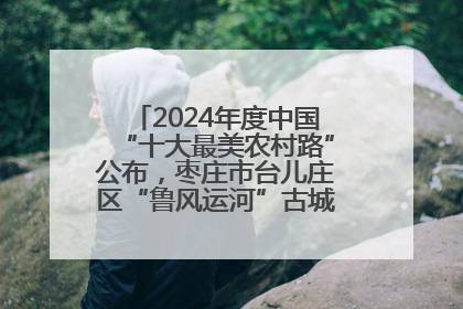 2024年度中国“十大最美农村路”公布，枣庄市台儿庄区“鲁风运河”古城文化廊道上榜！